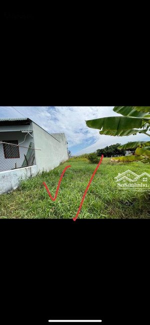 đất thổ cư nguyễn quang đại,phường 5,tp tân an 116m2,hướng đông bắc