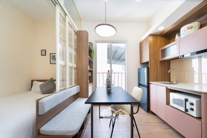cho thuê chung cư mini 1pn, 1wc, 30m2, giá 10 triệu tại phường 11, quận 3, hồ chí minh