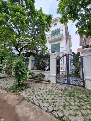 cho thuê bt 200m2, 25 triệu, kđt phú lương, hà đông, hà nội