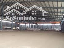 Cho thuê kho xưởng 3500m2 giá 180 triệu/tháng. Tại Long Nguyên/ Bàu Bàng/ BD