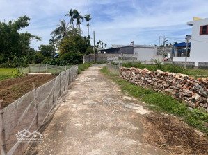 bán đất tam kiệt, hữu bằng, kiến thụy (tuyến 2 trục thôn) chỉ 3xx tr