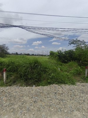 bán đất đường gò hưu mỹ hạnh nam đức hoà long an. dt 100m2 sổ hồng riêng. lh 