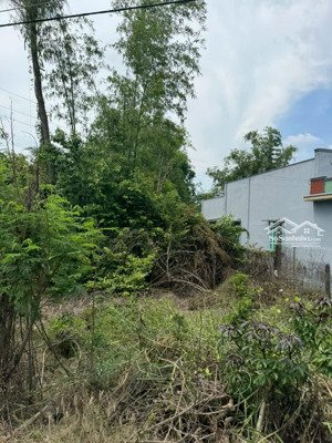 đất phân lô, gần ngay bến phà tân thanh, long an, giá 639 triệu, 116m2, thổ cư, sổ đầy đủ.