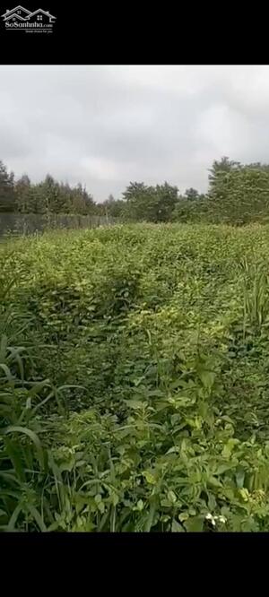 Bán đất vườn Bình Lộc