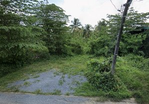 mtd ao gòn 140m2 giá 790tr. lô đất tại tân lân cần đước long an. sang tên công chứng trong ngày.
