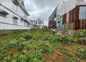 NHANH TAY TẬU NGAY LÔ ĐẤT 2 MẶT TIỀN ĐƯỜNG MAI ANH ĐÀO