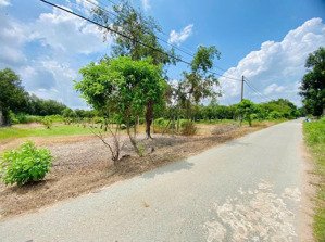 lô đất thổ cư siêu đẹp, có sổ hồng riêng chính chủ, hơn 300m2 ở thái mỹ, củ chi giá 850 triệu