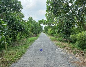 bán nền: 10m x 30m, thổ 100% đường nhựa 3.5m, xã bình hàng tây, h cao lãnh
