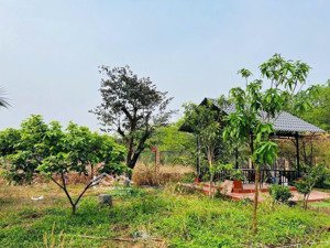 chính chủ bán đất tp hồ chí minh giá chốt 650 triệu, tổng diện tích 2000m2, đất đẹp