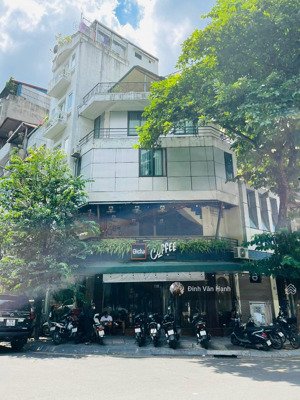 cho thuê mbkd tại phố quán thánh dt: 50m2 x 3 tầng, mt lô góc: 13m, phù hợp với mọi mô hình kd