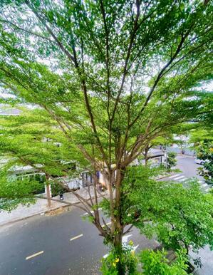 CHO THUÊ NHÀ 3 tầng KĐT Phước Long đẹp, thoáng mát