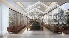 bán biệt thự rộng mua nhà nhỏ ở - biệt thự mới hiện đại ở đakao, q1. 12,5x15m(180m) - 3 tầng 55 tỷ
