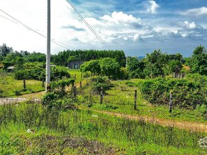 bán đất mặt tiền nguyễn chí thanh, 15,075 tỷ, 1335m2, la gi, bình thuận, giá cực chất