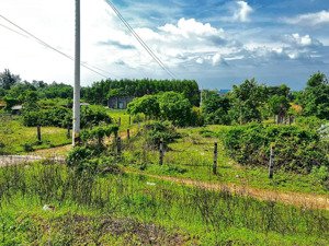 chính chủ cần bán lô đất mặt tiền đẹp ngay trục chính nguyễn chí thanh la gi giá cực tốt