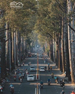 bán nhà 5 tầng mặt tiền nguyễn chí thanh quận 5, dt: 4m x 17m dtcn 64m 5 tầng 21 tỷ