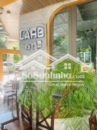 bán biệt thự c37 bắc hà 17 tố hữu, nam từ liêm lô góc