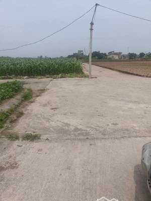 bán đất tại minh tân, lương tài, bắc ninh,mặt tiền 6m vuông vắn,đường ô tô thông