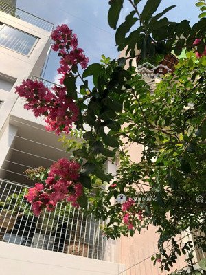 bán tòa nhà có 15 chdv cao cấp đang kinh doanh đường nguyễn cửu vân, bình thạnh. hđt khoán 85tr/th
