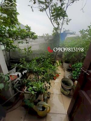 ️️️Cần Bán Nhanh Nhà Bình Tân SHR Ở Ngay Tiếp Khách Thiện Chí.️️️