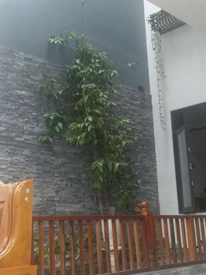 bán nr 150m2, giá 5 tỷ tại hoàng quốc việt, p thanh hà, hội an, quảng nam