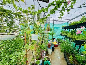 bán nhà riêng 6pn, 4wc, 45m2 tại trương định, tân mai, hoàng mai, hà nội, giá ưu đãi 12,5 tỷ