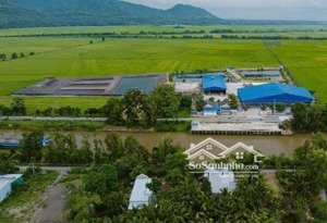 bán 48.183m2 có 3 nhà xưởng, 1 văn phòng, 6 ao nuôi cá tại xã ô lâm, tỉnh an giang