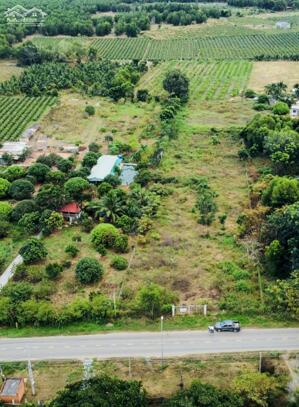 Đại Hạ Giá-Nhiều đất Sào mặt tiền đường 711-Hàm Thuận Bắc-Bình Thuận