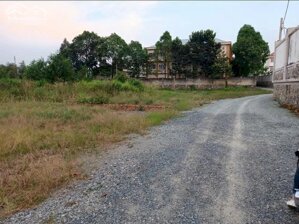 500m2 Đất Phường Tân Hạnh Cách Đường phạm Văn Diêu 1xẹt. 1Tỷ9
