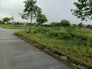 đất biệt thự MB04 Quảng Phú giá tốt