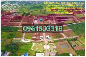 ⭐Bán gấp lô đất tiềm năng dự án SUNVALLEY tại Phường 2 Bảo Lộc, Lâm Đồng; 0961803318