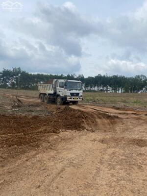 CHO THUÊ 4,5HA ĐẤT TRỐNG TẠI XÃ AN LONG, TP.HCM – VỊ TRÍ ĐẮC ĐỊA, GẦN KCN BECAMEX, GIÁ CHỈ 20 TRIỆU/THÁNG