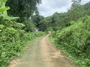 bán đất tại xã cuối hạ - kim bôi