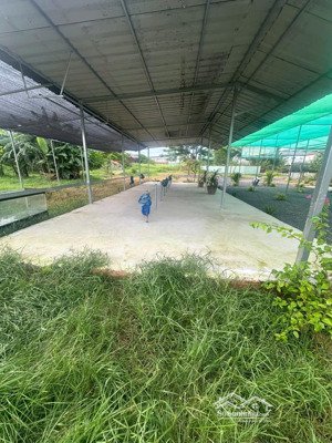 cho thuê kho xưởng 1.200m2 hai sẹc đường trần văn mười hóc môn