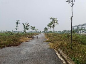 bán đất dự án khu đô thị minh giang đầm và, vị trí đắc địa, 110m2 giá 4x tr/m2. 