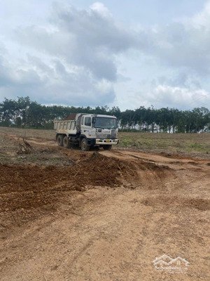 cho thuê 45.000m2 đất trống tcln tiện sxkd chế biến gỗ tại xã an long, tp. hcm giá 20tr/tháng
