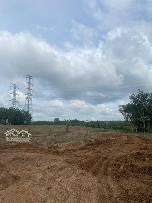 cho thuê 45.000m² đất tcln gần kcn becamex, tiện sxkd gỗ, giá 20tr/tháng