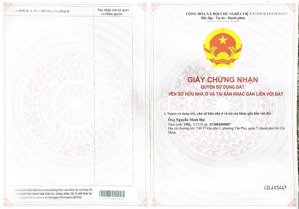 cln tiện sxkd chế biến gỗ, nông công nghiệp xả thải