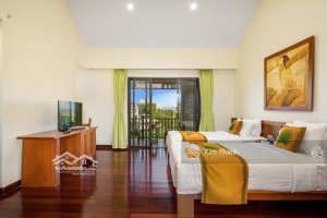 bán gấp khu resort 30 phòng vip cửa đại dt 2.813m² doanh thu 1 tỷ/tháng giá chỉ 90 tỷ