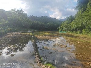 bán đất cao sơn, đả bắc siêu hót tiềm năng đầu tư.