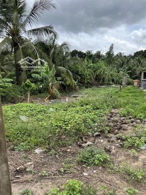 bán 367,2m2 thổ tặng thêm 30m2 cln ở xã trung hòa - huyện chợ gạo - tiền giang