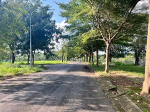 chính chủ cần bán gấp lô đất 95m2, da tân cảng giá chỉ 40 triệu trên m2