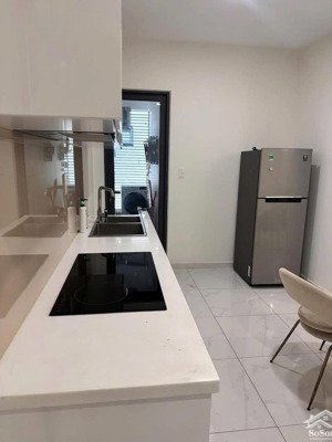 cho thuê 2 căn hộ d''lusso - 15 triệu/tháng, 2pn, đầy đủ nội thất loan