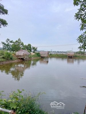 cần bán nhà cấp 4 - hoà liên - liên chiểu giá rẻ 1.7tỷ view hồ 150m