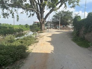 bán đất thạc quả, dục tú, đông anh, hà nội - diện tích 120m2, mặt tiền 7m hot