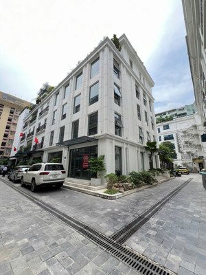 bán nhà lô góc 6 tầng thang máy nguyễn tuân, thanh xuân, 224m2, 88 tỷ