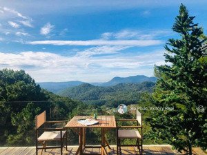 cần bán villa view rừng thông thu nhập khùng 175tr/ tháng tại đường hoàng hoa thám , p10, đà lạt