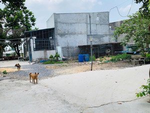 tôi cần bán lô góc 2 mặt tiền ngang 10m dài 13.5m giá 1 tỷ 850 tại tân phú trung - củ chi