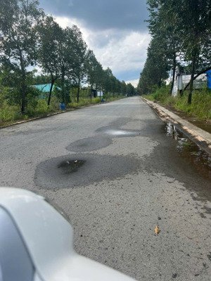 cần bán 300m2 đất đường d4b mỹ phước 4, dân đông gần đại học thủ dầu 1, việt đức