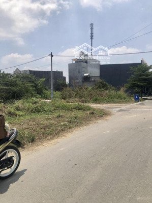 đứng trên vai người khổng lồ - chiến lược trường tồn