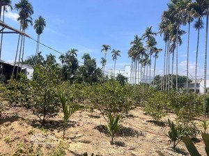bán đất thôn phú hậu, suối hiệp, diên khánh, 13000m2